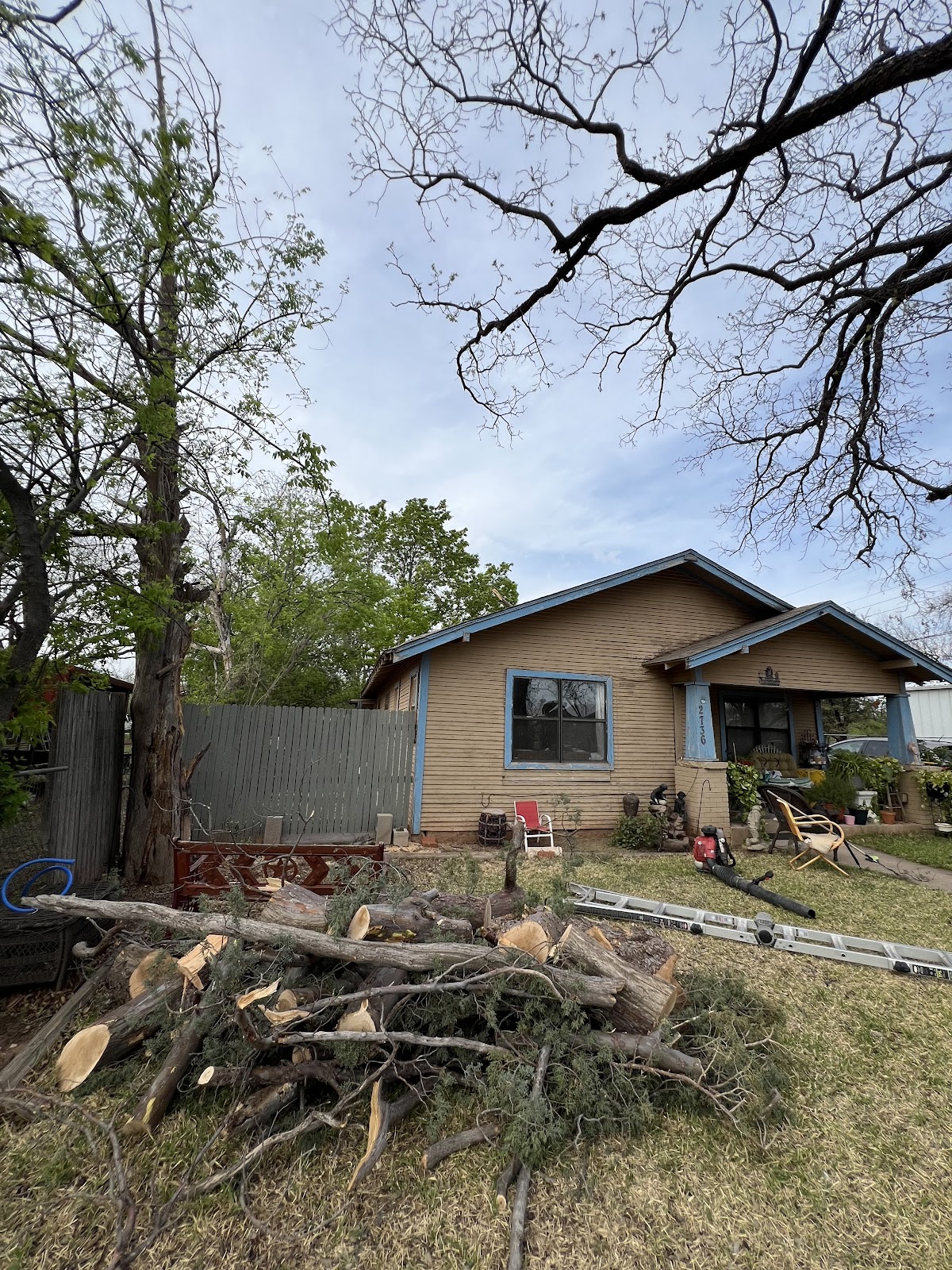 Tree removal job with cut logs stacked in a backyard