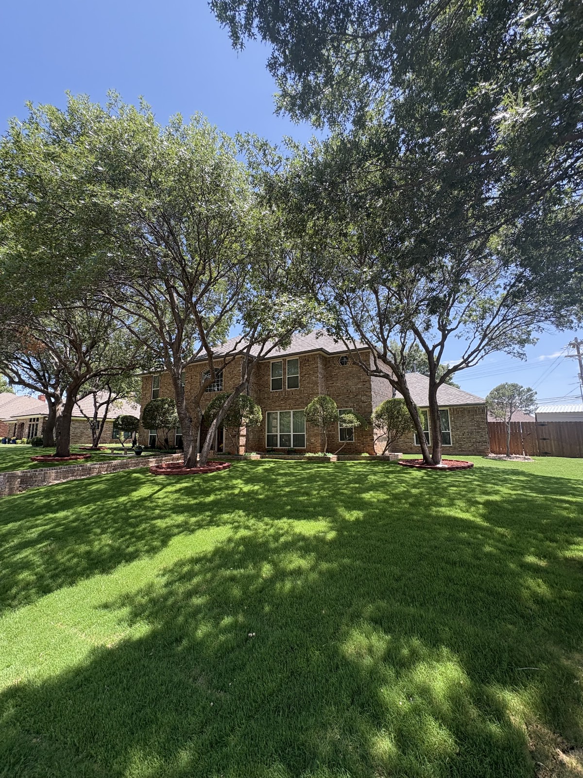 Freshly mown front lawn shaded by mature oak trees