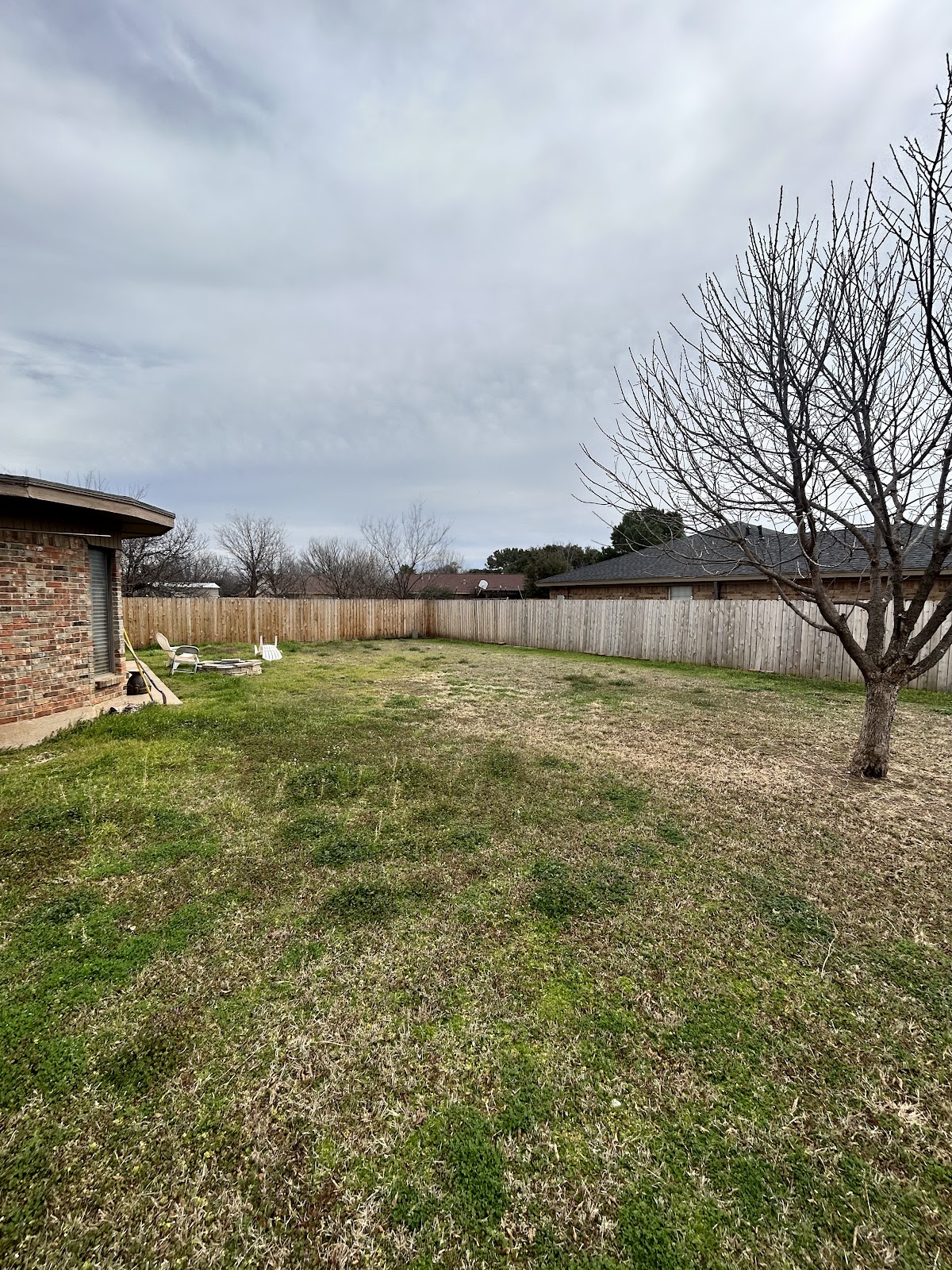 Open backyard lawn after a cleanup