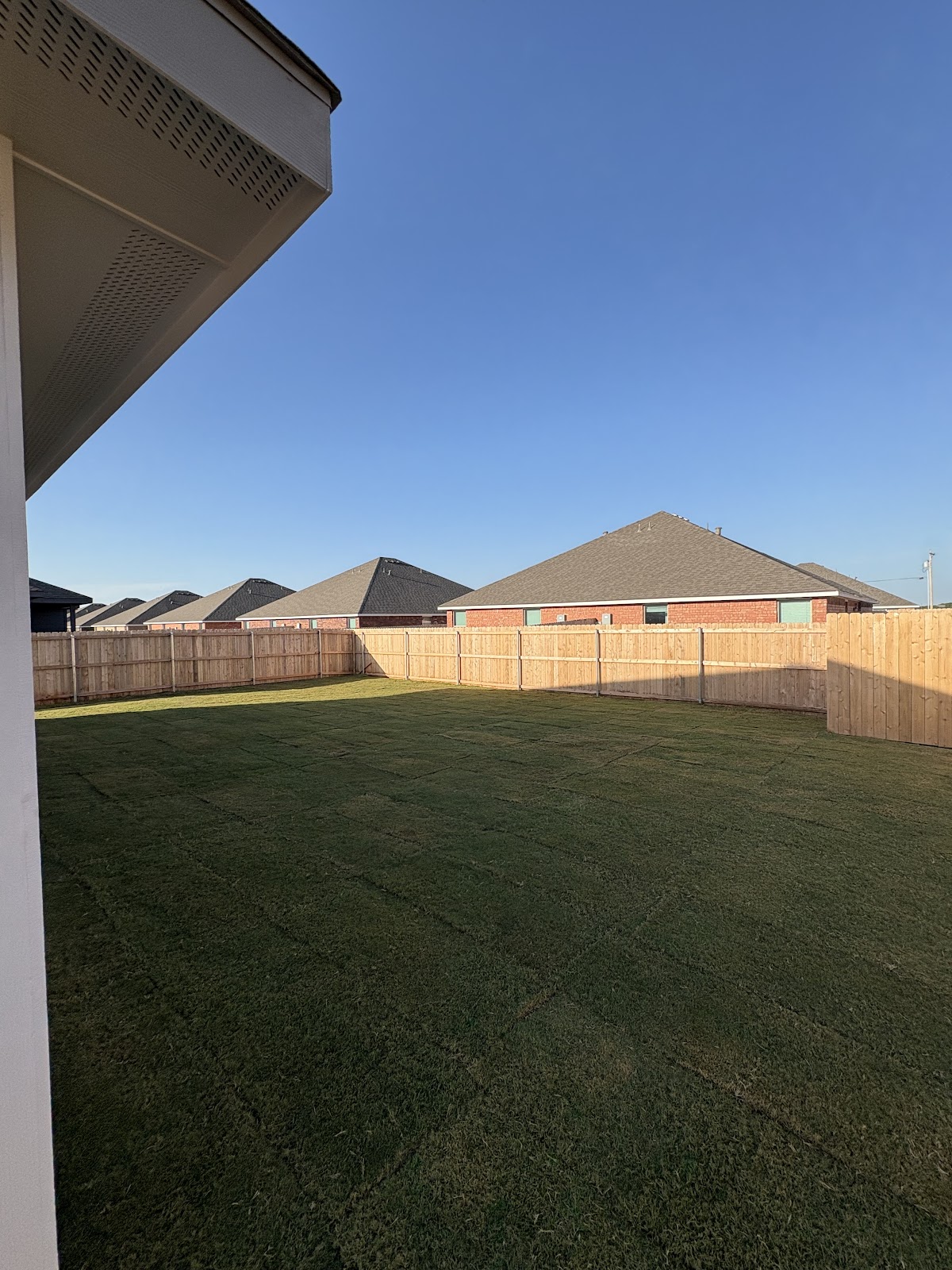 New sod laid across a fenced backyard