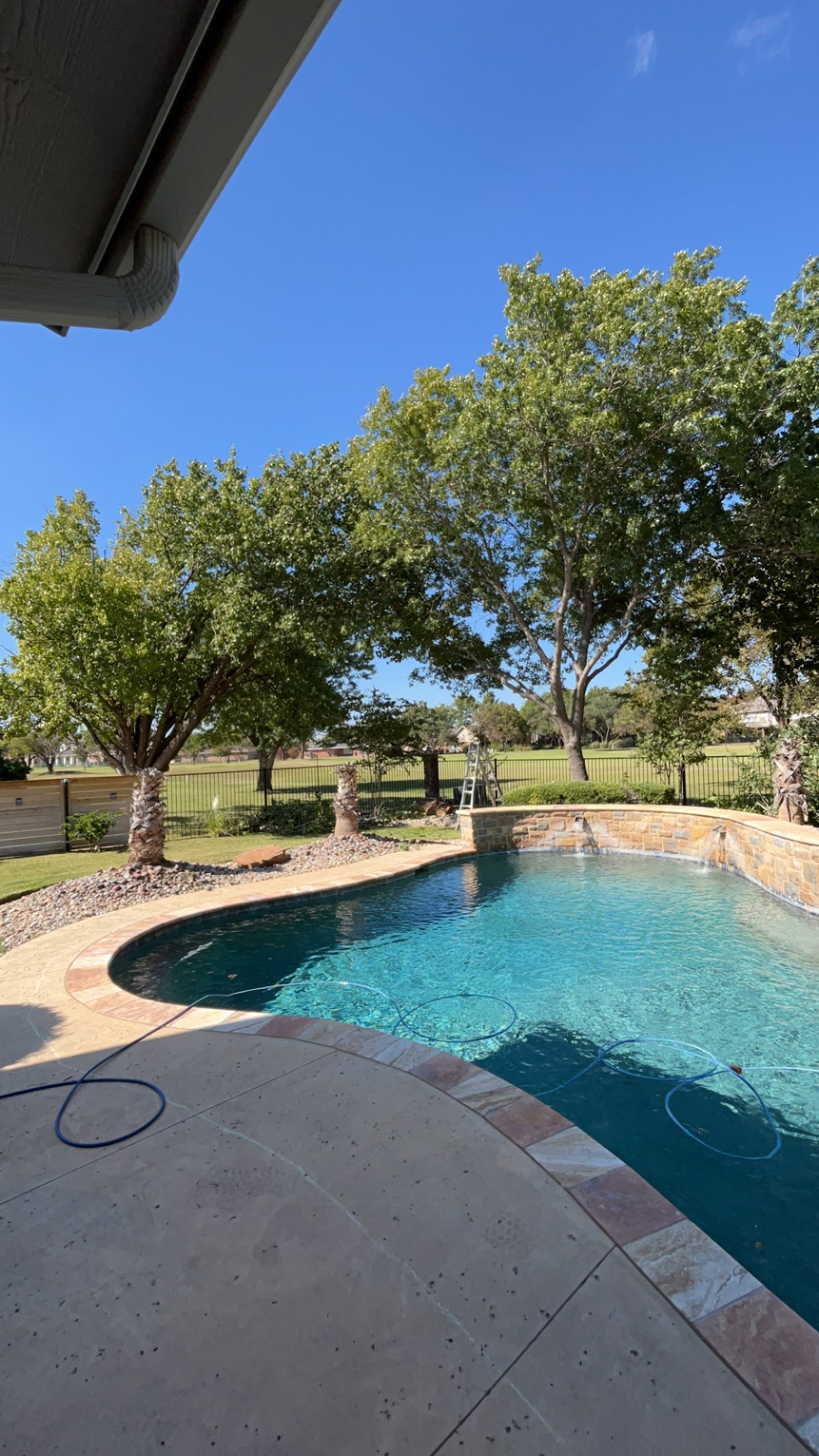 Backyard pool framed by trimmed trees